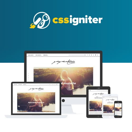 CSS-Igniter-Paperbag-WordPress-Theme.jpg